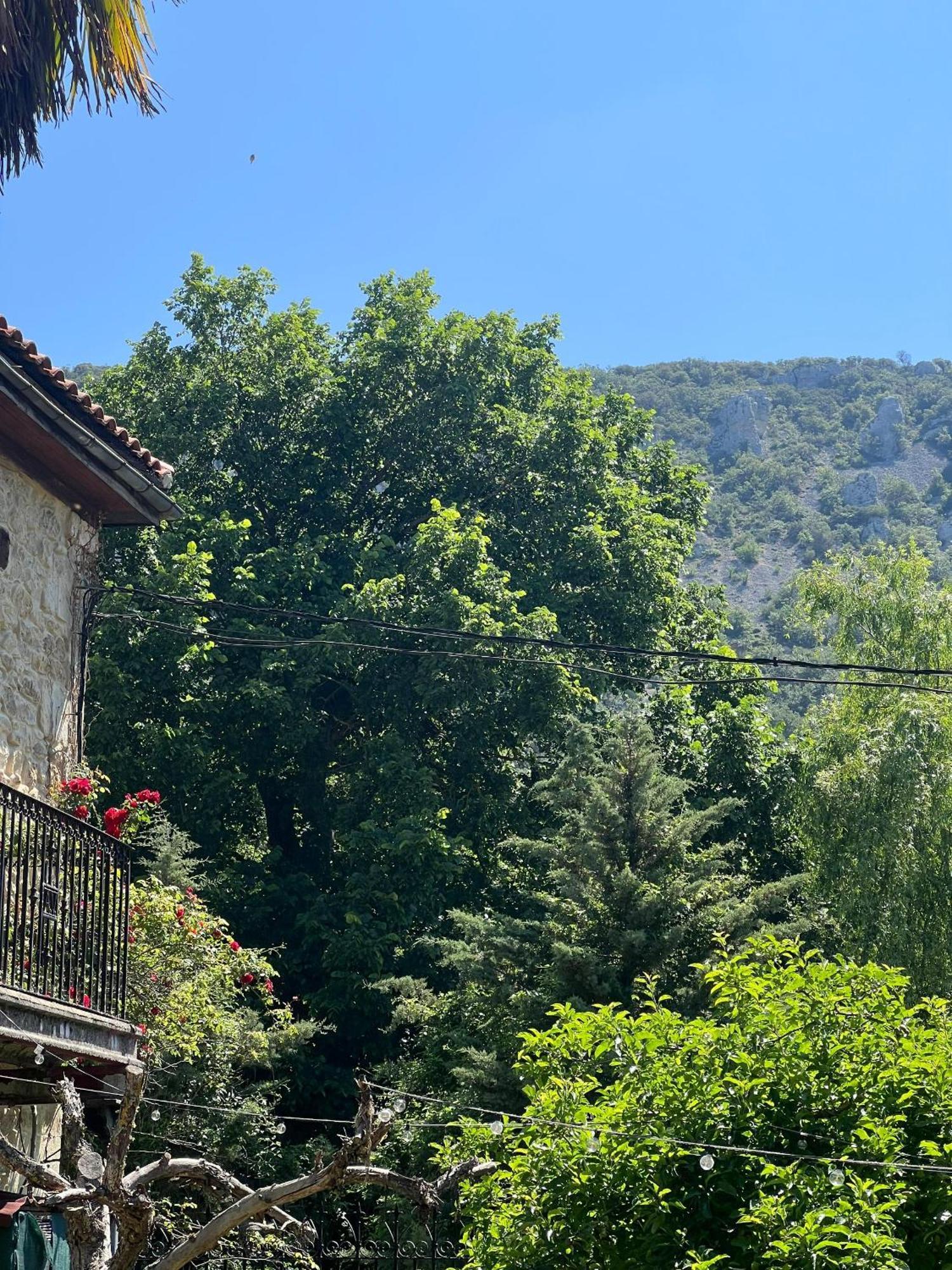 Palacio De Los Alvarado En Las Merindades El Ribero Exteriér fotografie